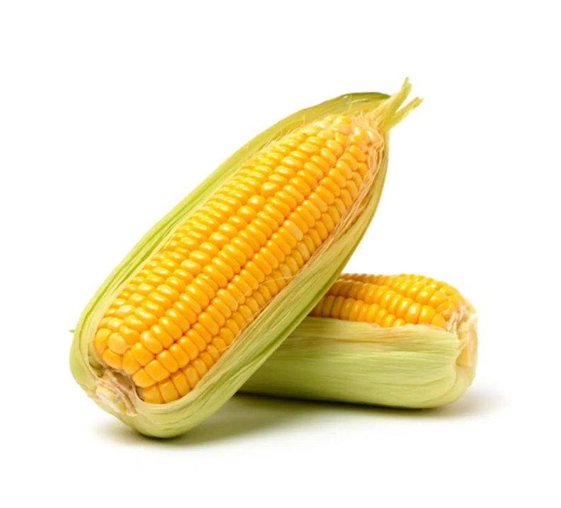 Sweet Corn Cob x 2_0