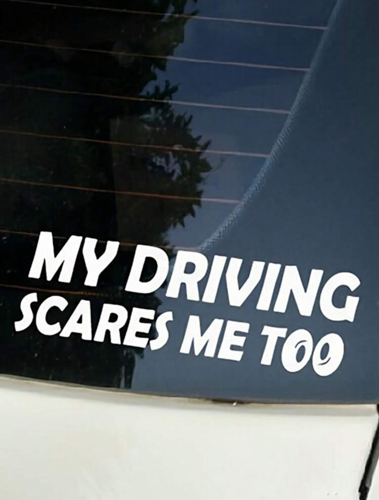 Sticker "MY DRIVING SCARES ME TOO"_3