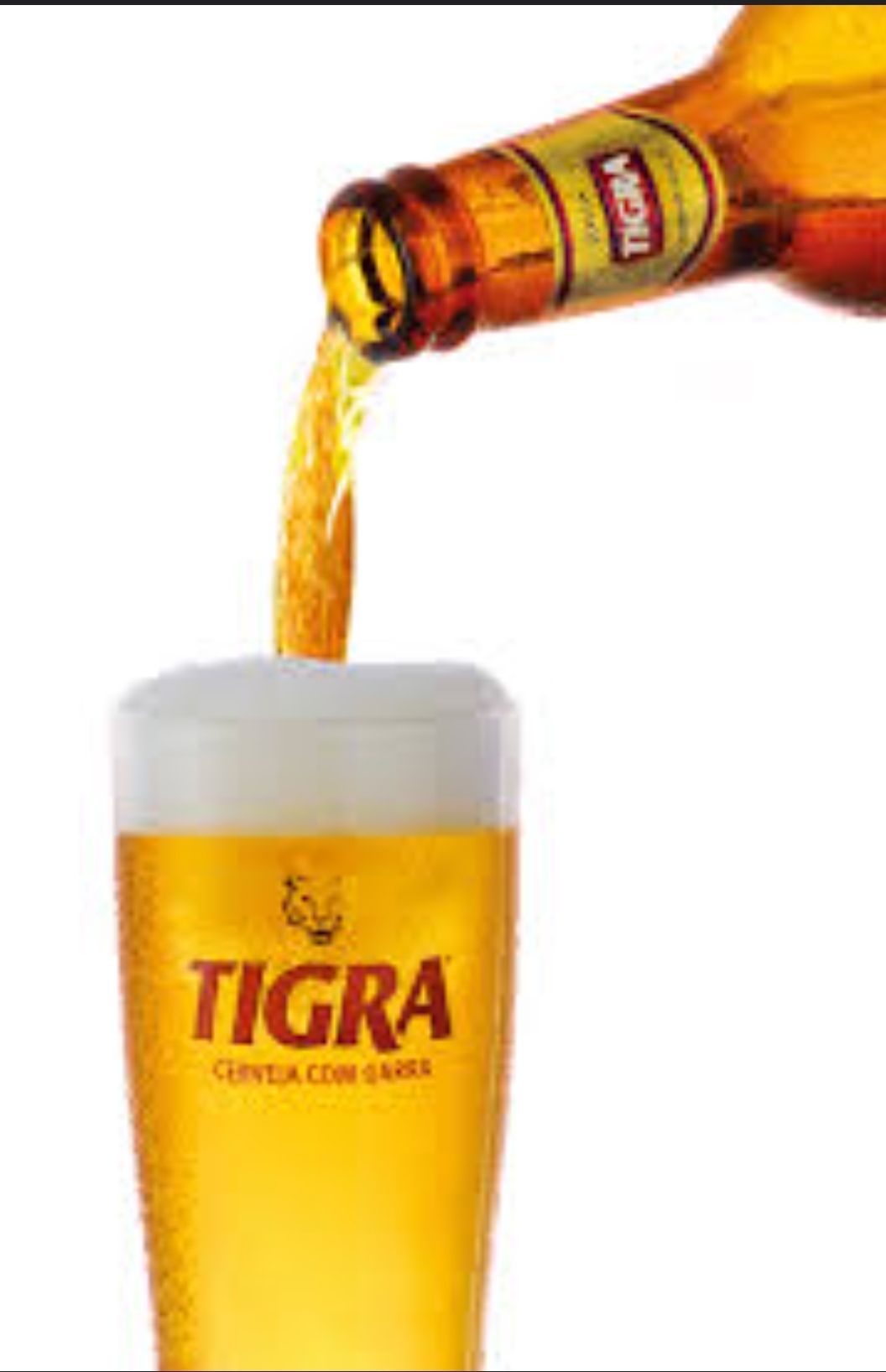 Cerveja  tigra _0