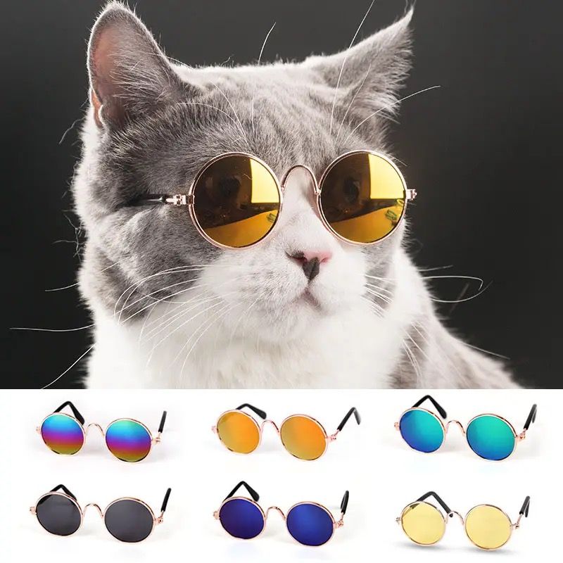 Lunettes pour Animaux de Compagnie_1