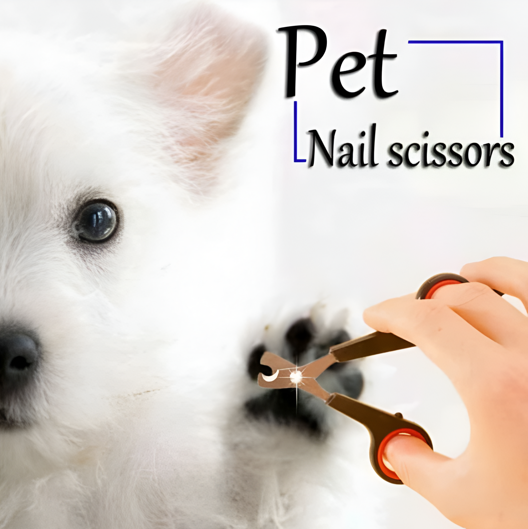 1 Pcs Pet Nail Scissors Small Animals Nail Claw_0