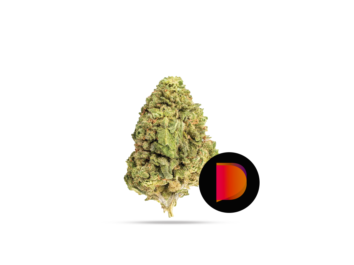 WD Sativa (13 Products)_0