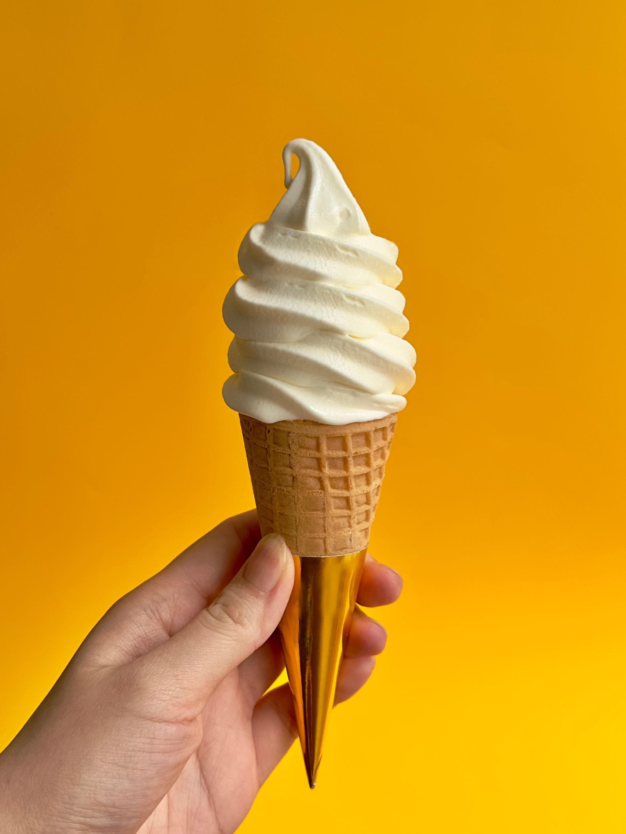 Yogurt Ice Cream Cone_0