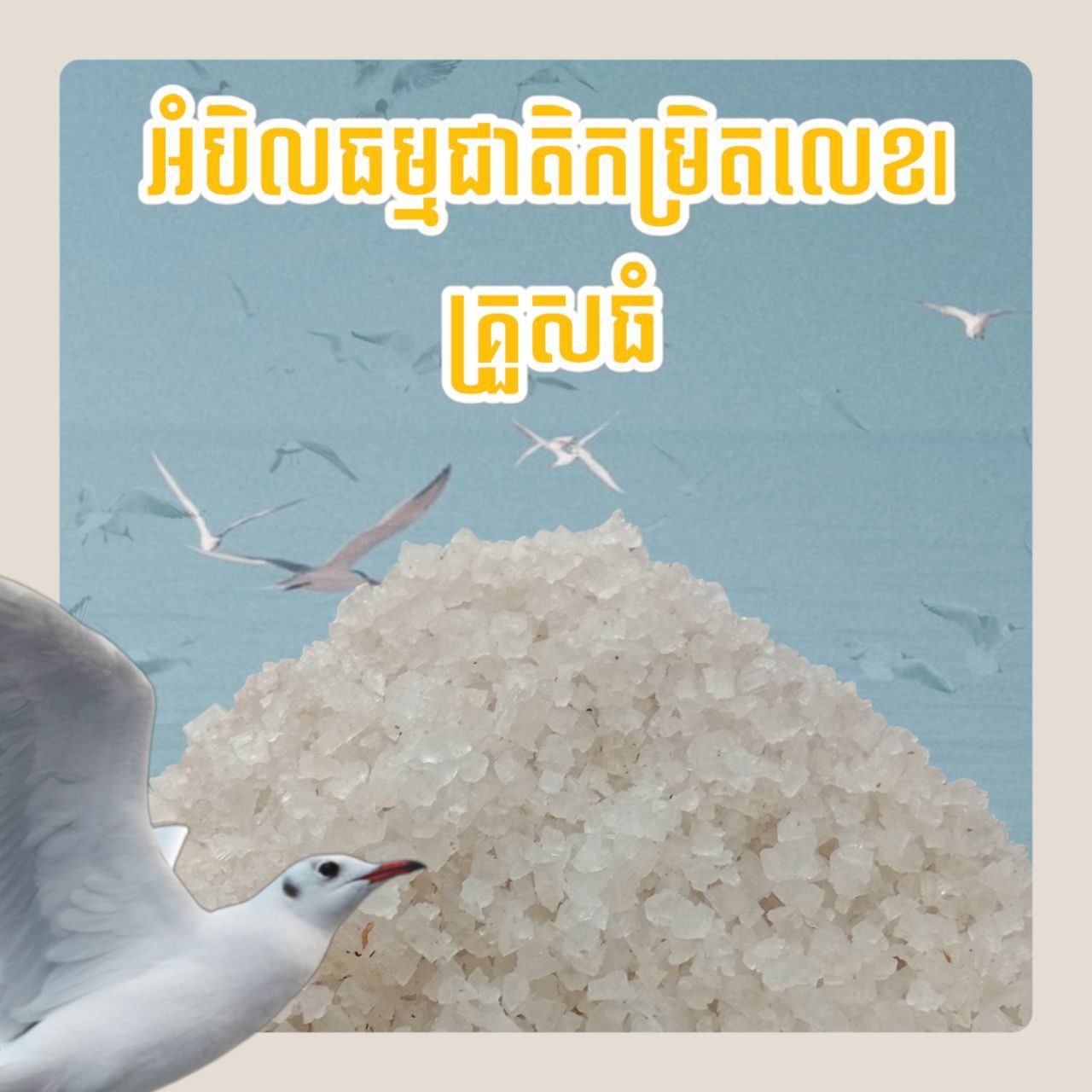 អំបិលធម្មជាតិកម្រិលលេខ1_0