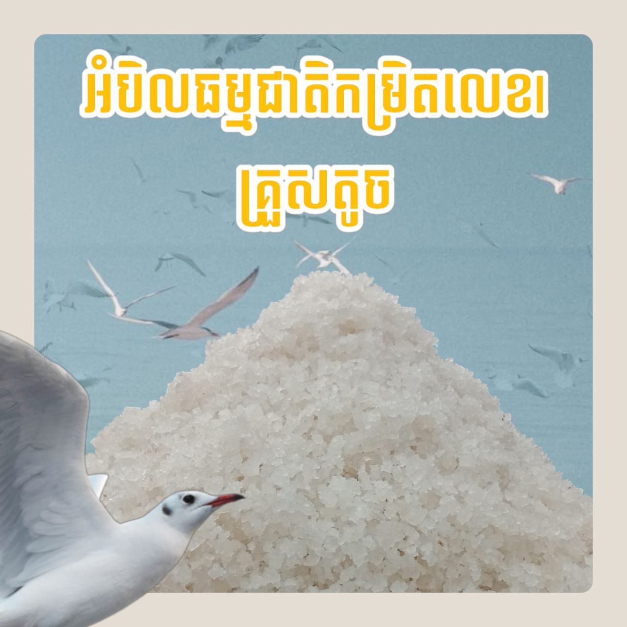អំបិលធម្មជាតិកម្រិលលេខ1_1