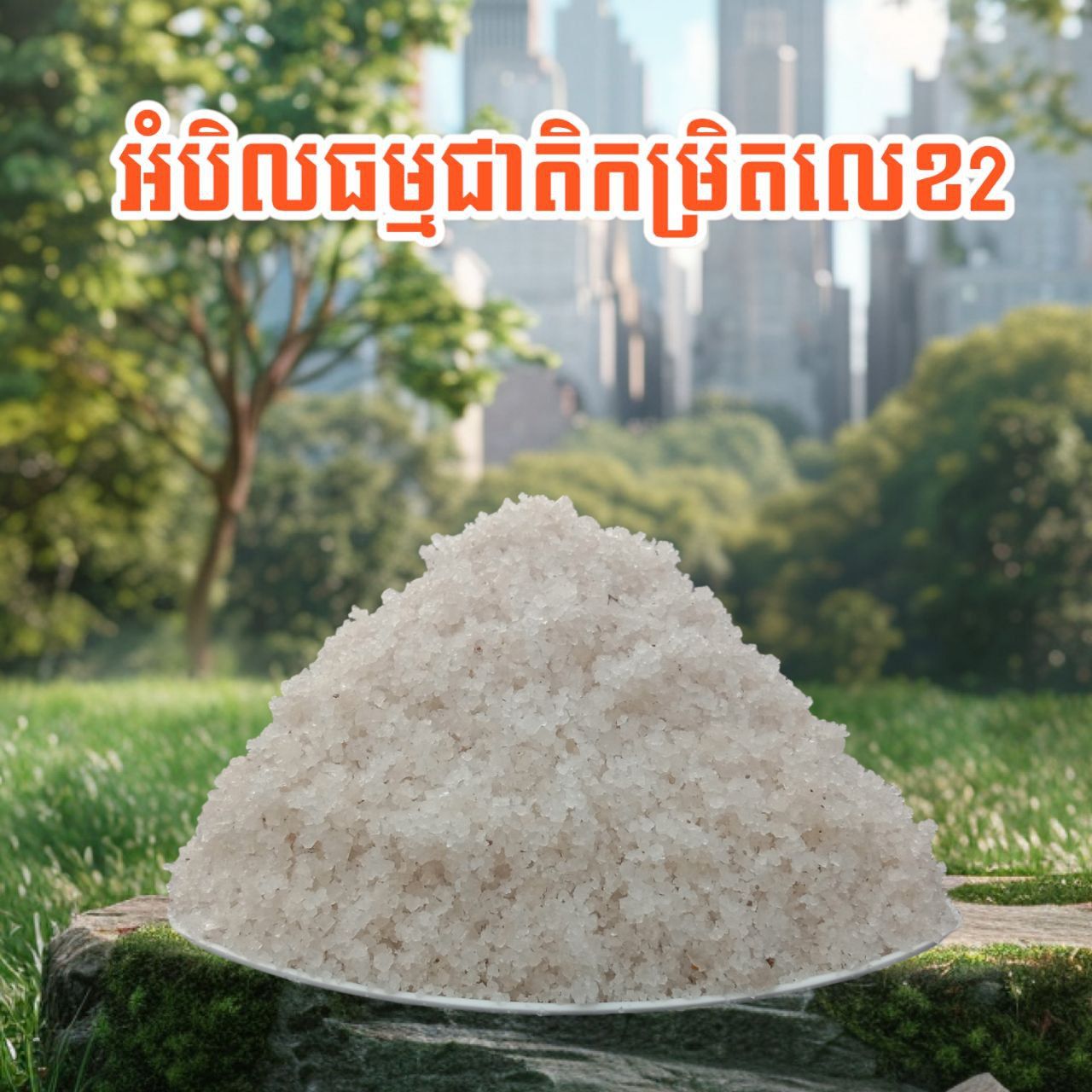 អំបិលធម្មជាតិកម្រិតលេខ2_0