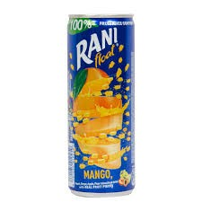 Rani Float Long Life Mango Drink with Real Fruit Pieces - preservatives free_0