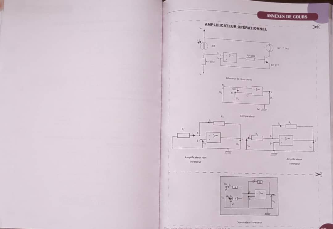 Physique-Chimie / Cahier d’habileté - 1ere CD (JD Editions)_2