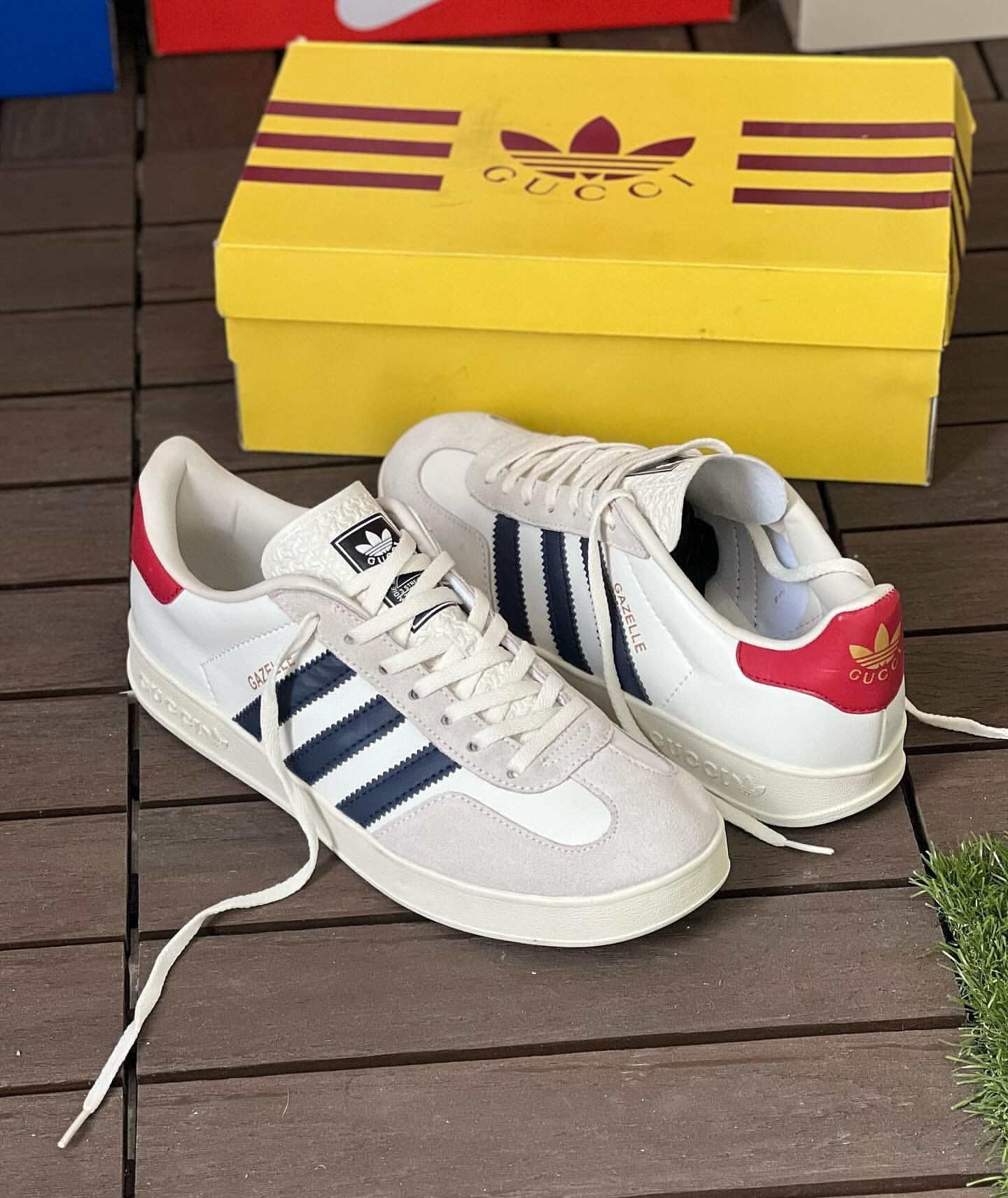 Adidas Gazelle x Gucci_0