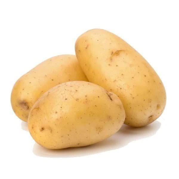 Potato/உருளைக்கிழங்கு_0