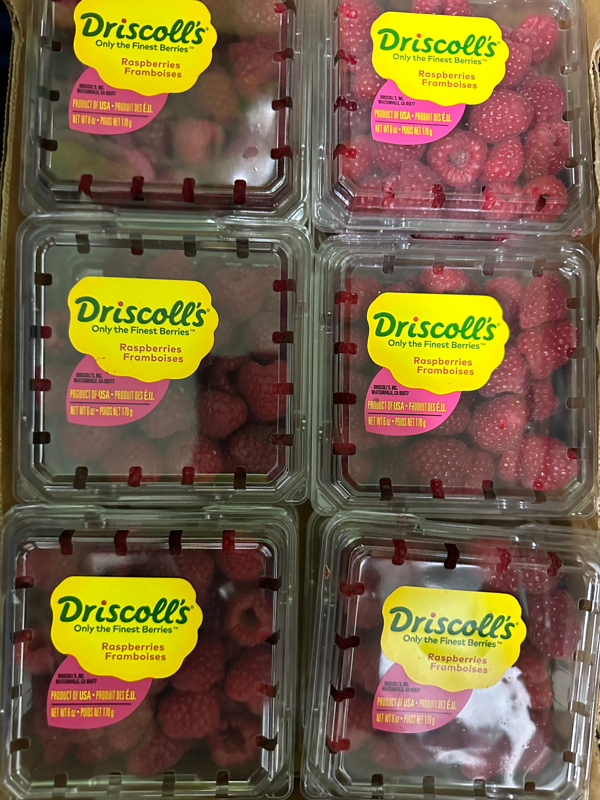 BERRY-RASPBERRY (USA) 170gm 1x12 per ctn_0