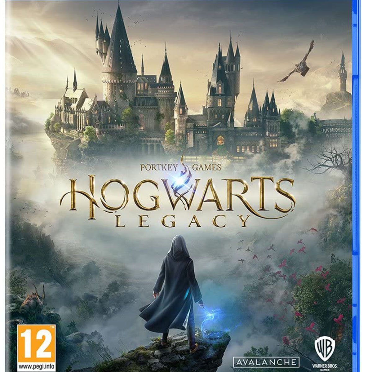 hogwarts legacy Ps5_0