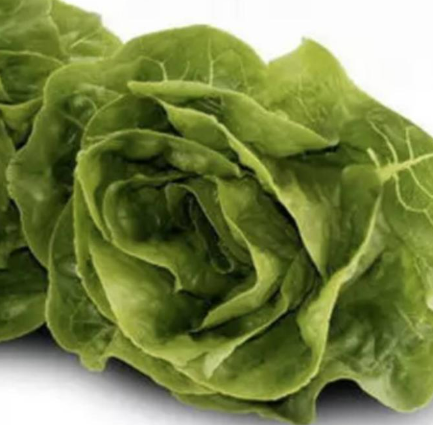 Meod Cos Lettuce (150g)-沙拉生菜_0