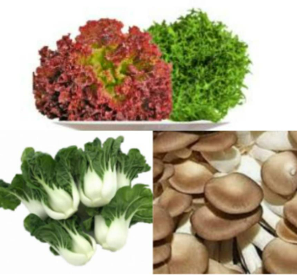 Meod 3 Vege For $10 (Set D) Any 3 For $10 !!! Promotion!!!_0