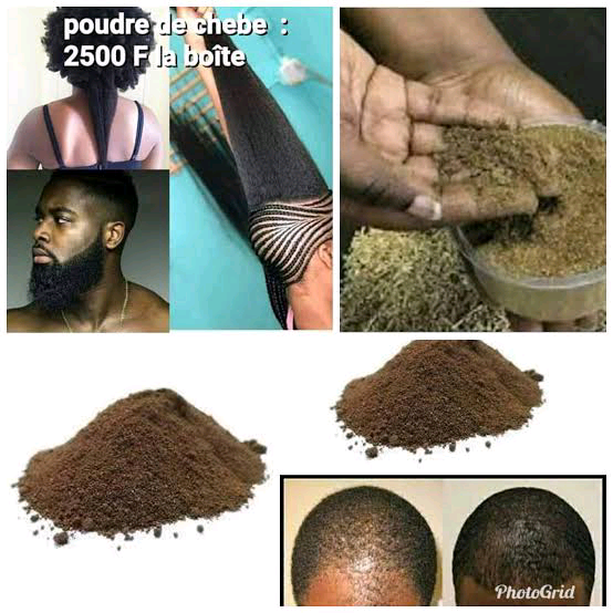 Graine de chebe Utilisées traditionnellement pour favoriser la croissance des cheveux, elles aident à renforcer les follicules cheveux et à prévenir la chute._1