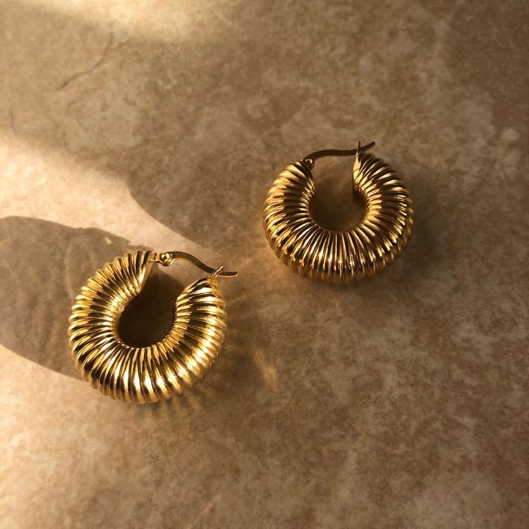 Coil earrings _0