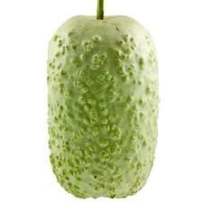 Calebasse / Bottle gourd_0