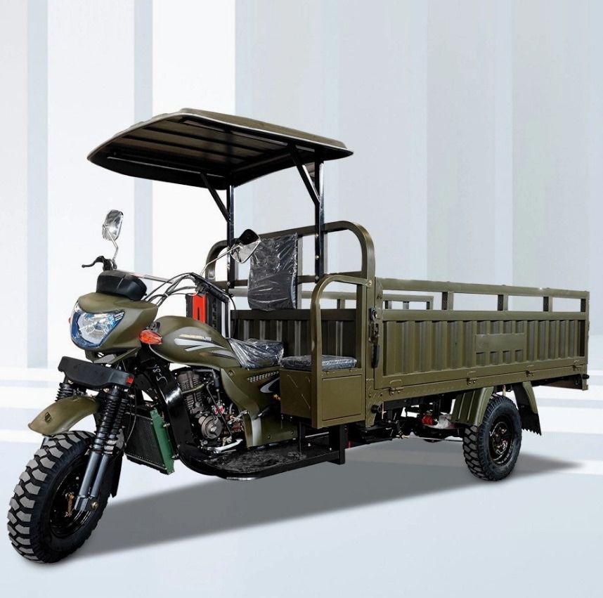 TRICYCLE CARGO 200 CC_5