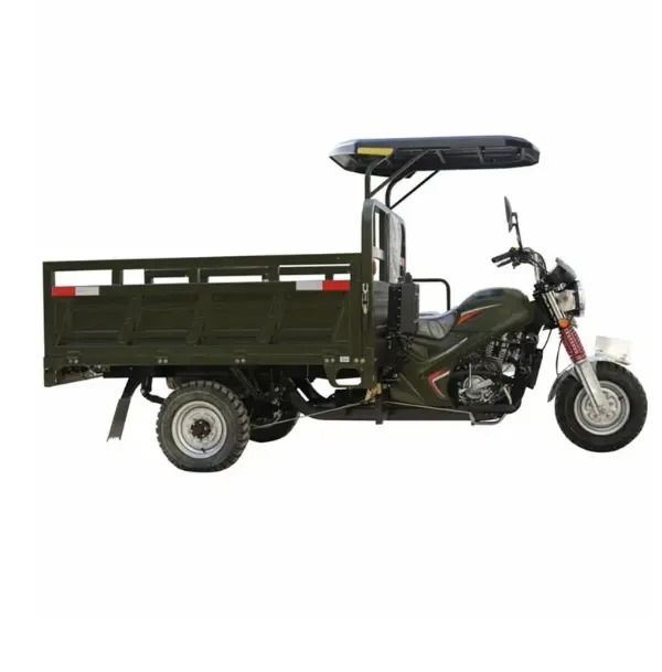 TRICYCLE CARGO 200 CC_0