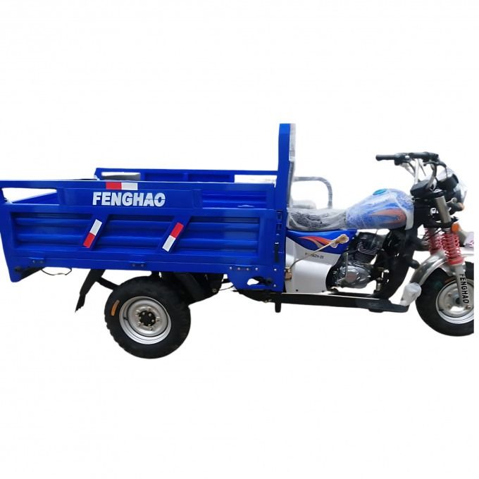 TRICYCLE CARGO 200 CC_2