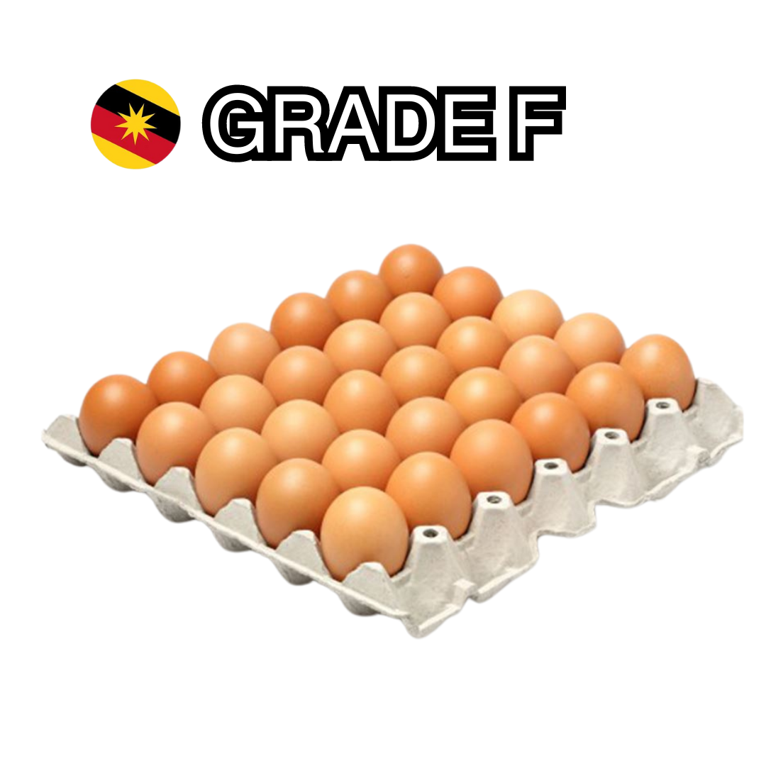 Classic Egg Grade F_0