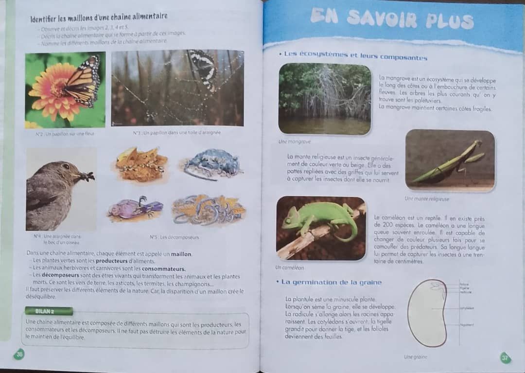 Sciences et Technologies CE1 (Collection Oxygène) - Les Classiques Ivoiriens_2