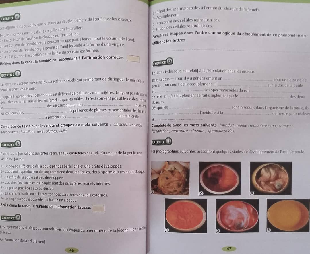 6ieme SVT Cahier d’activité - Les Classiques Ivoiriens_2