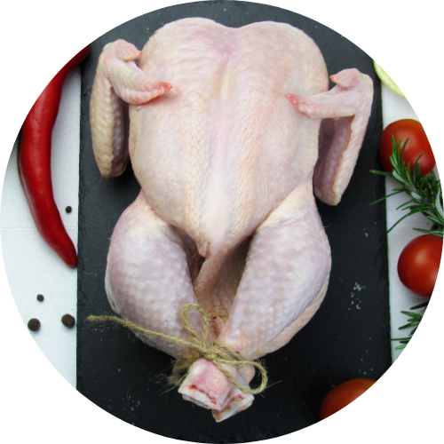 Broiler Chicken_0