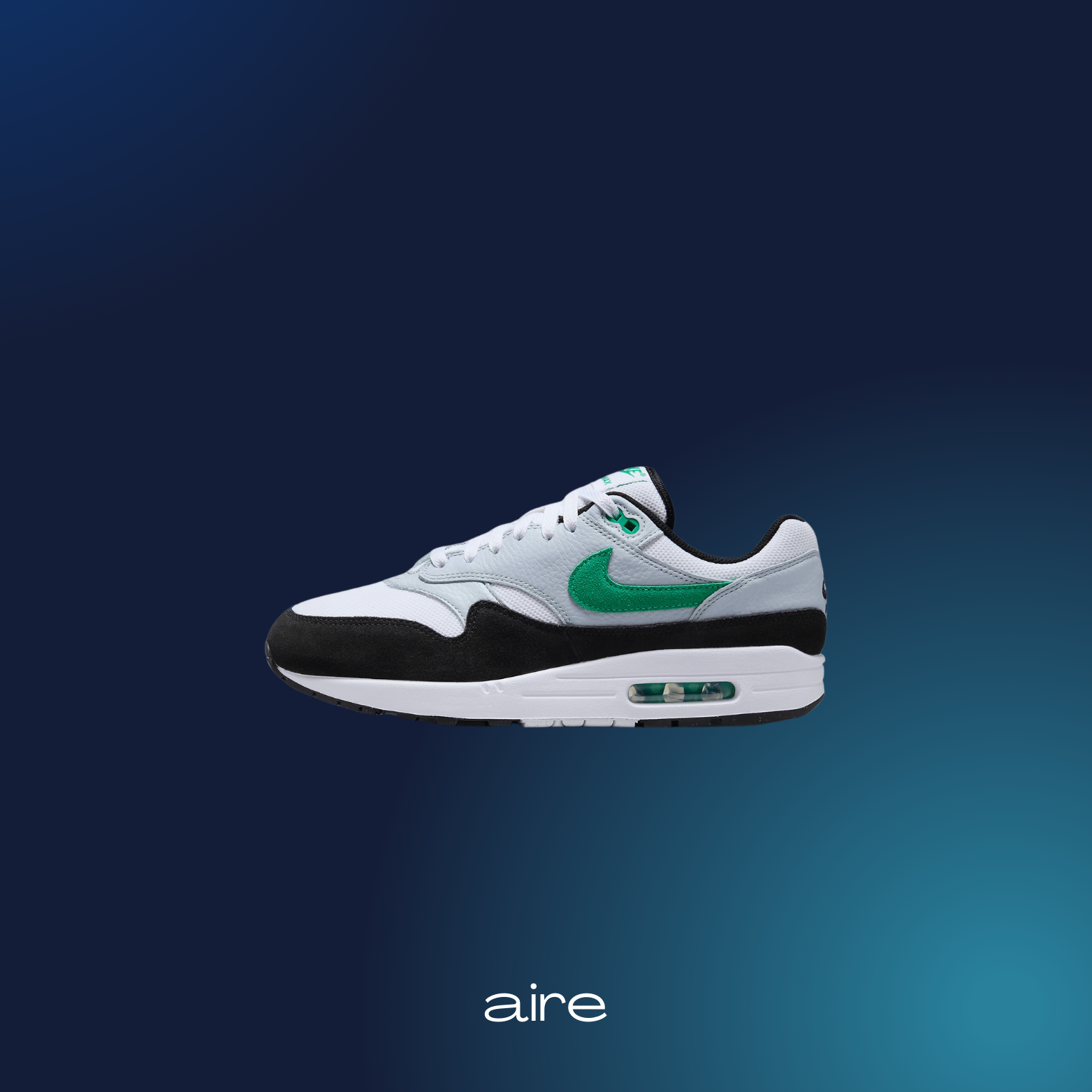 Nike Air Max 1_1