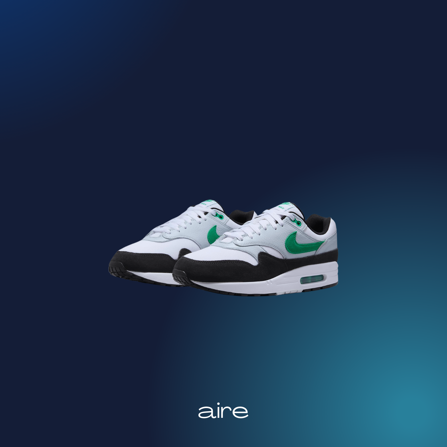 Nike Air Max 1_0