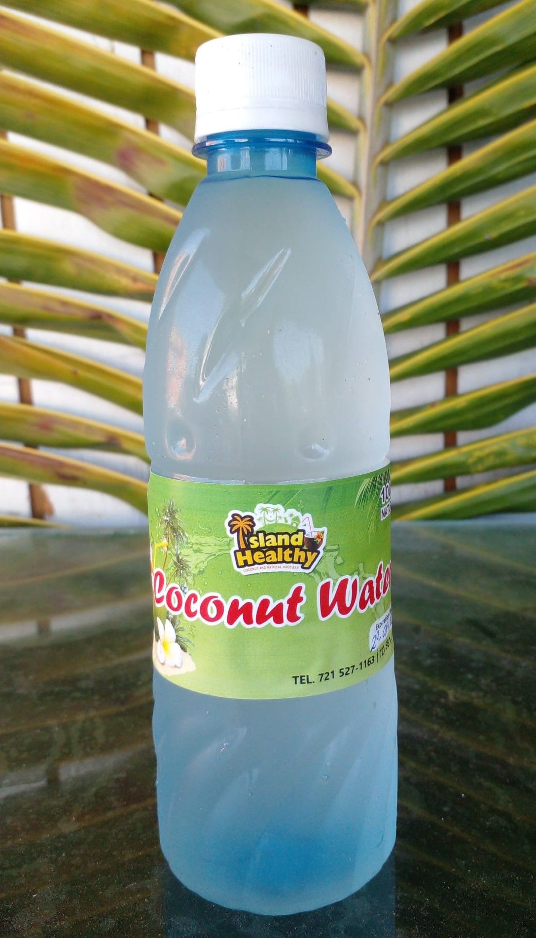 12-Coconut Water 500ml - Wholesale_0