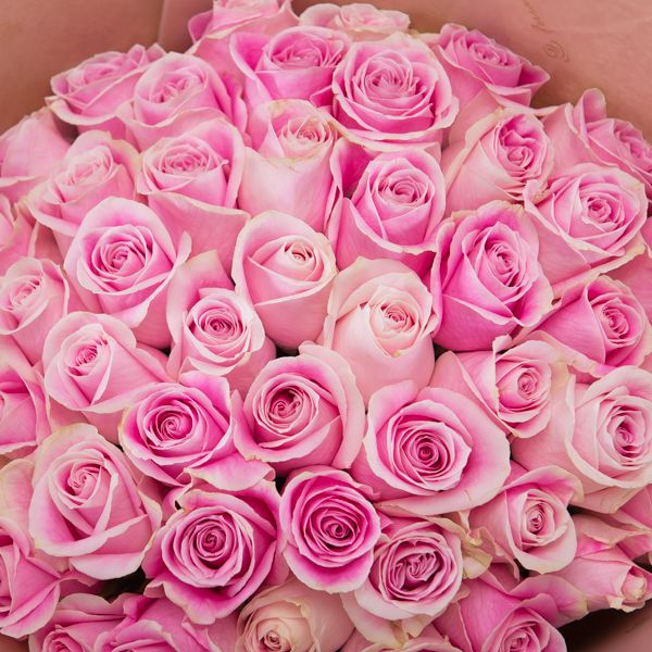 Pestel Colour Bouquet in Pink_3