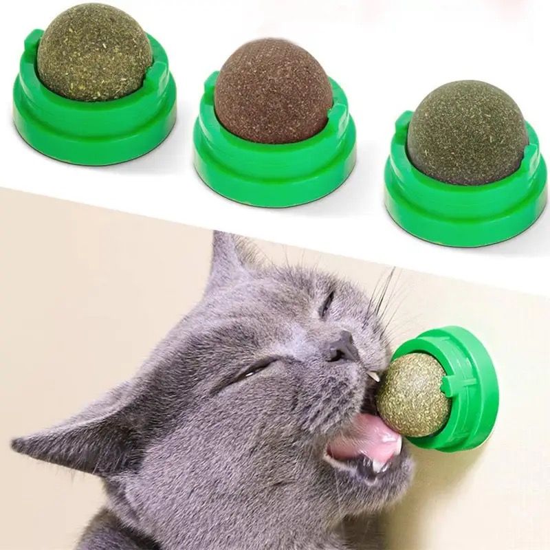 Boule d'Herbe pour Chat - Bienfaits pour la Digestion et le Bien-être_0