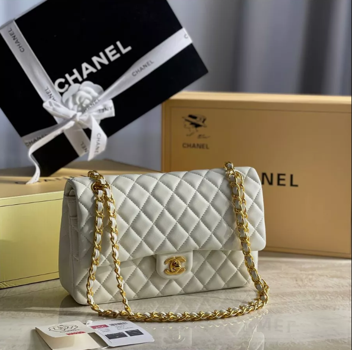 Louis Vuitton Chanel Bags Medium_4