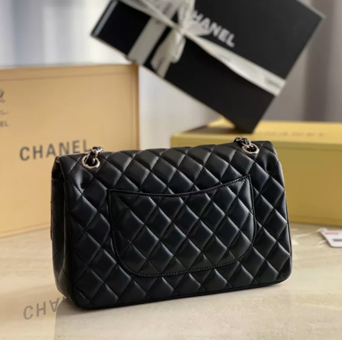 Louis Vuitton Chanel Bags Medium_1