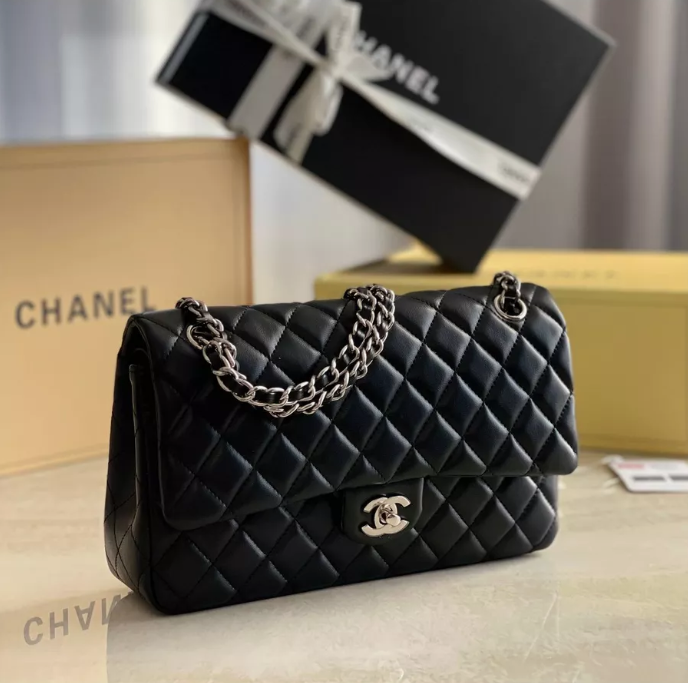 Louis Vuitton Chanel Bags Medium_0