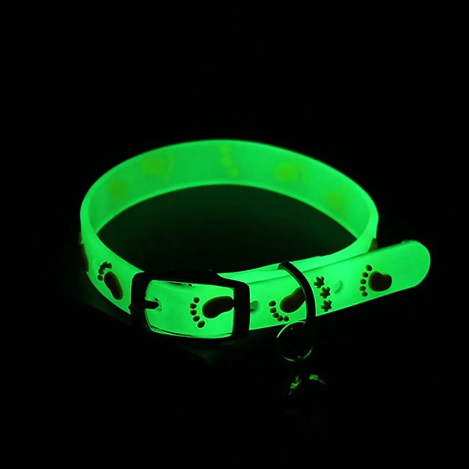 Collier Fluo pour Chat_1