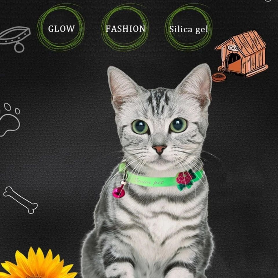 Collier Fluo pour Chat_3