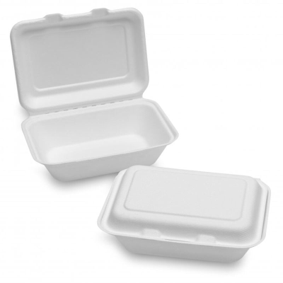 Disposable Foam Lunch Box 100's_0