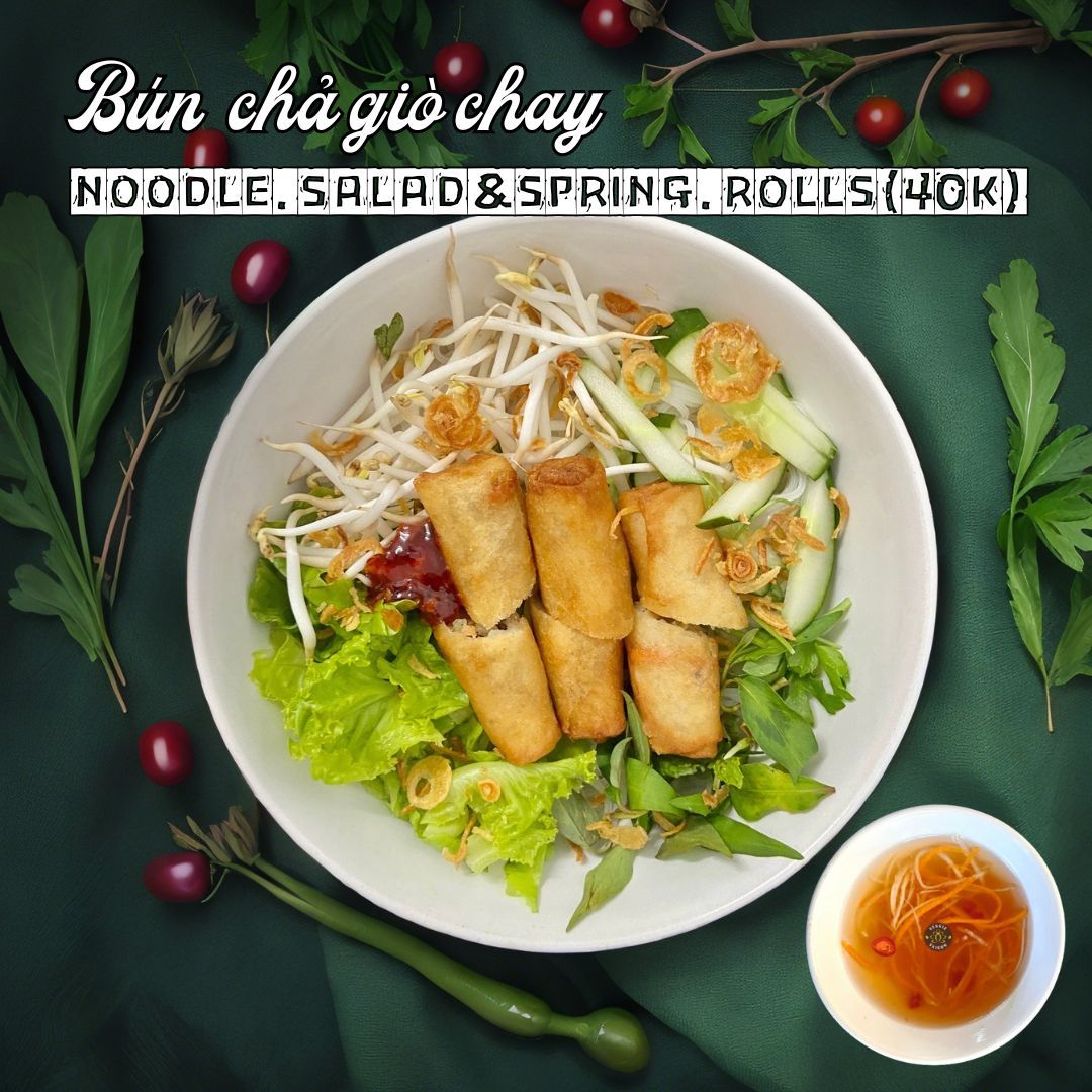 Vermicelli salad & vegan spring rolls _0