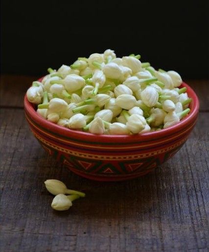 Jasmine Buds_0