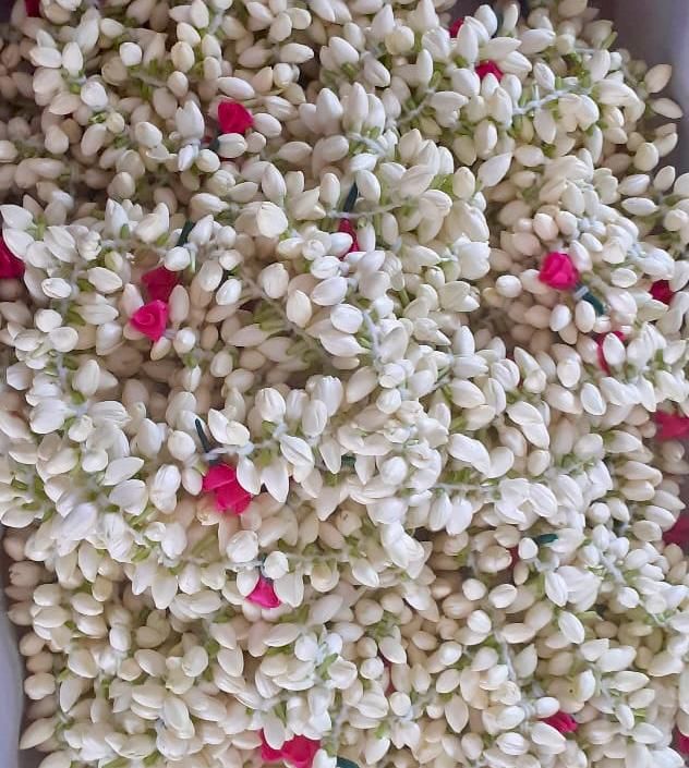 Jasmine String (Saram)_0