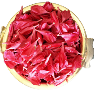 Red Arali _0