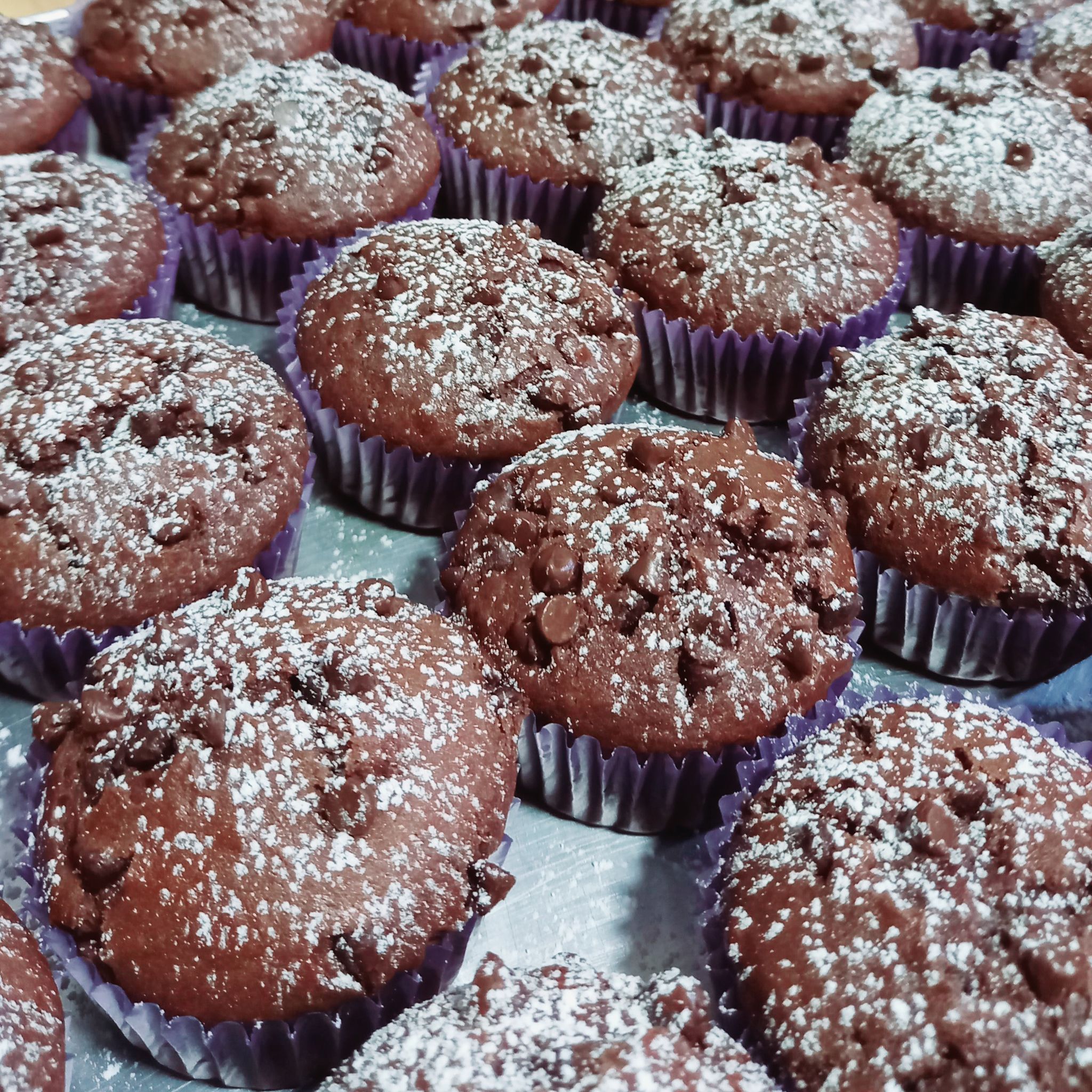 Chocolate Chip Muffins_1