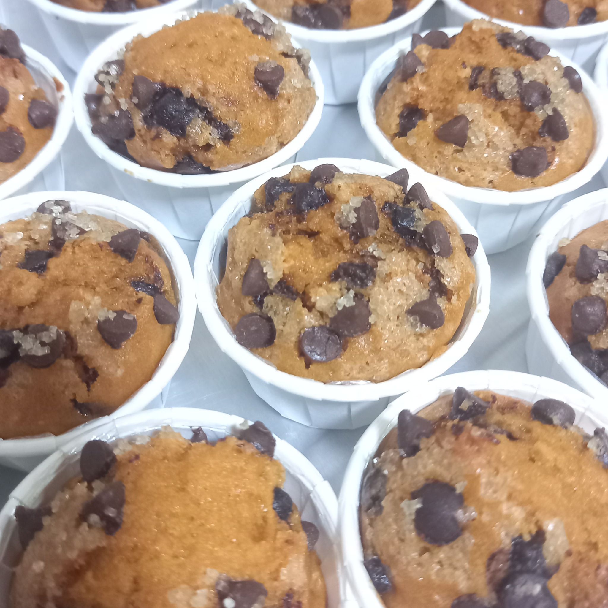 Orange Chocolate Chip Muffins_1