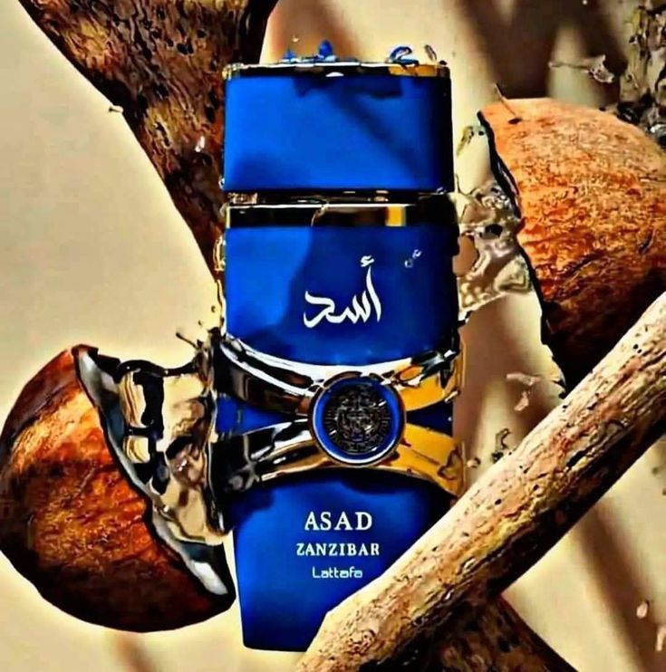 Asad Zanzibar _0