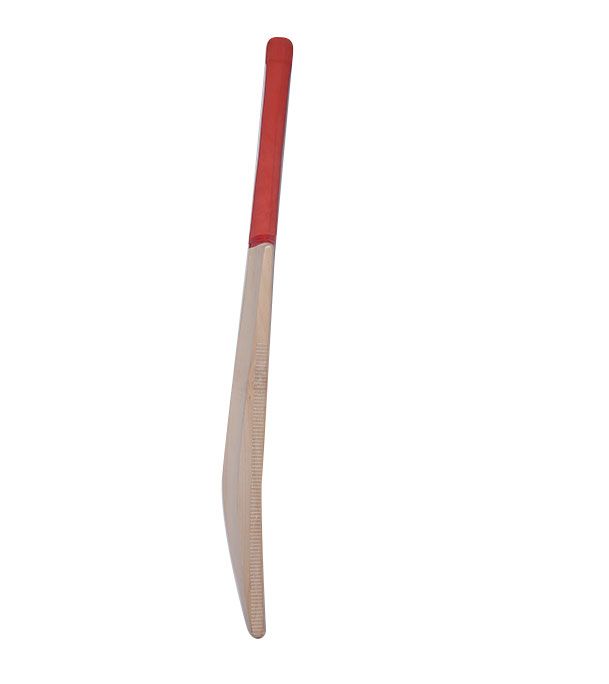 Cricket Bat Taurus _2