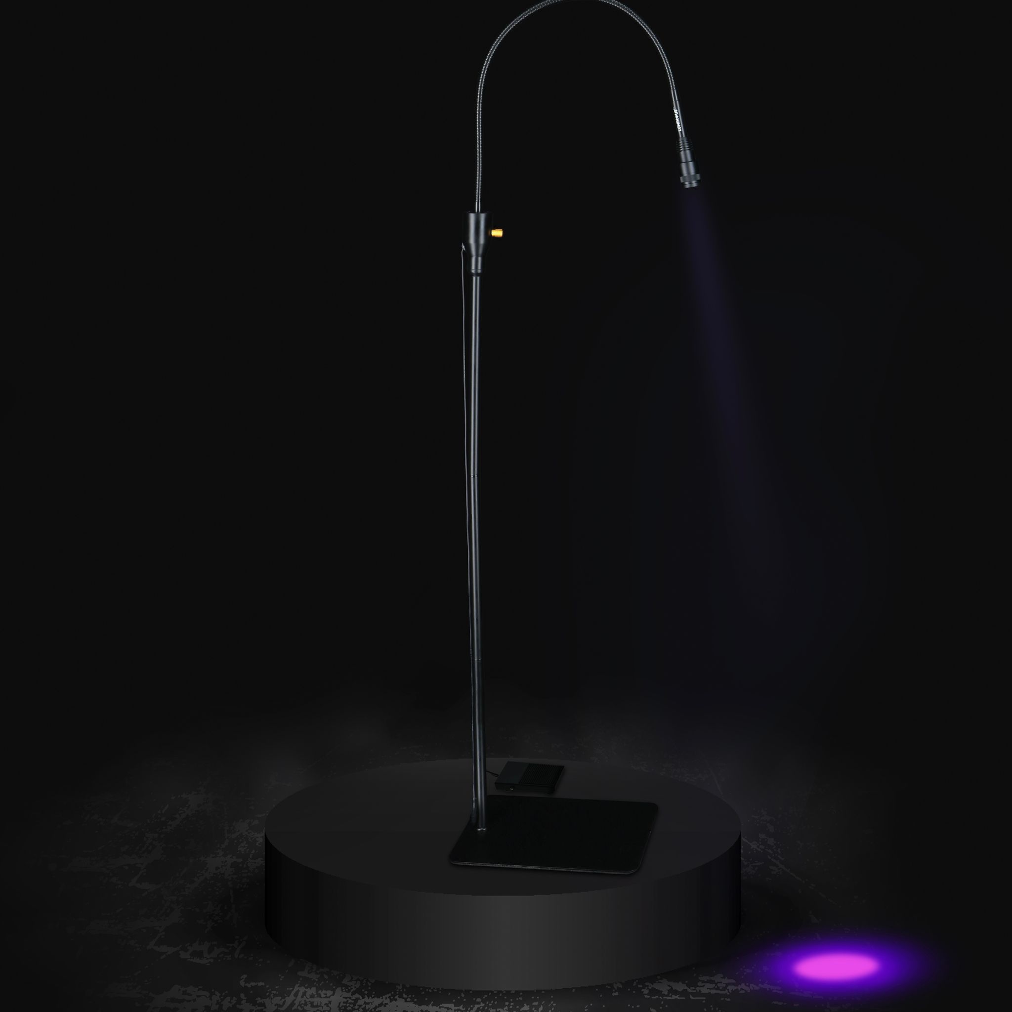 Luminous LED Standing Light _1