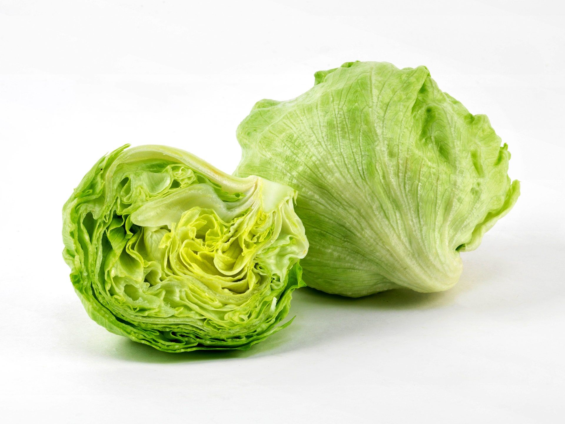 Lettuce Iceberg/Salad_0