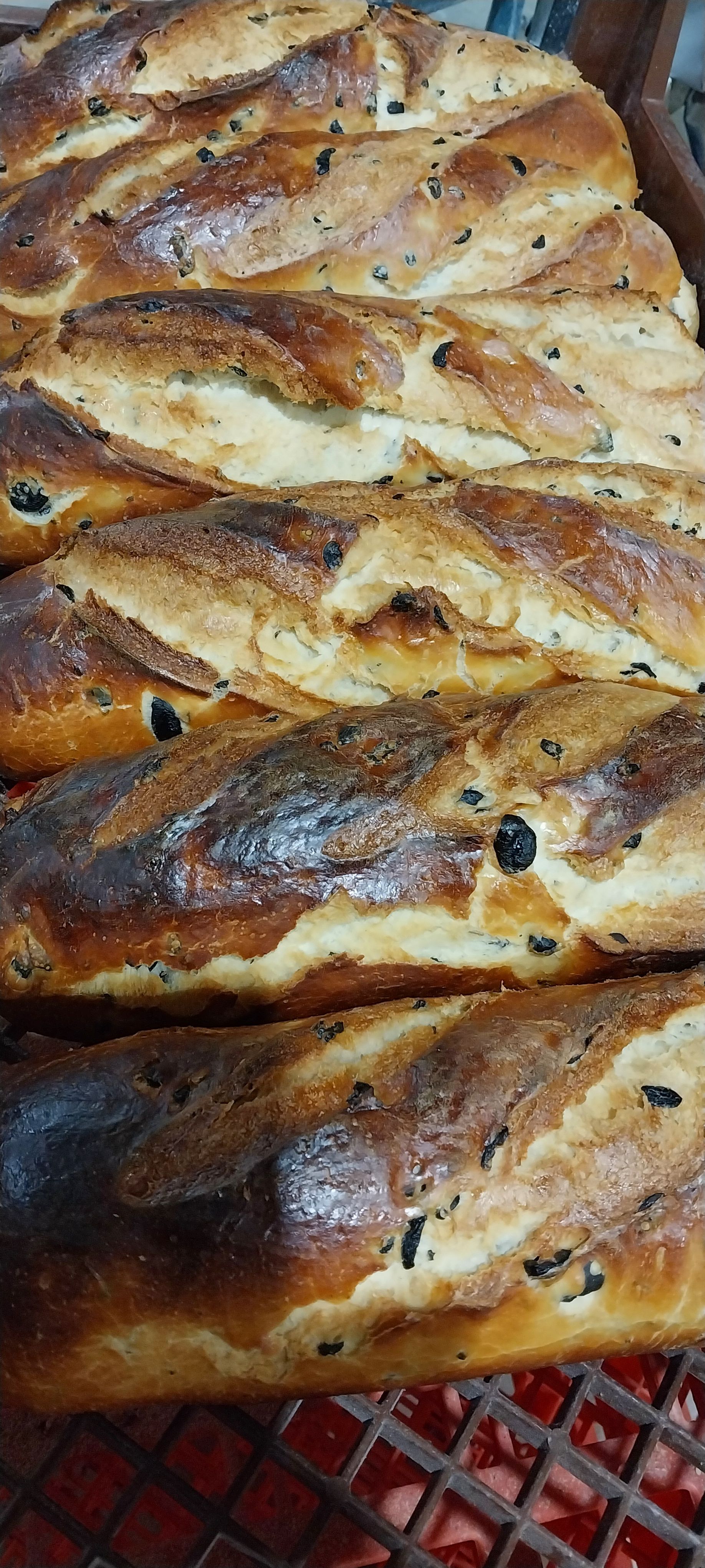 Olive bread 650g _0